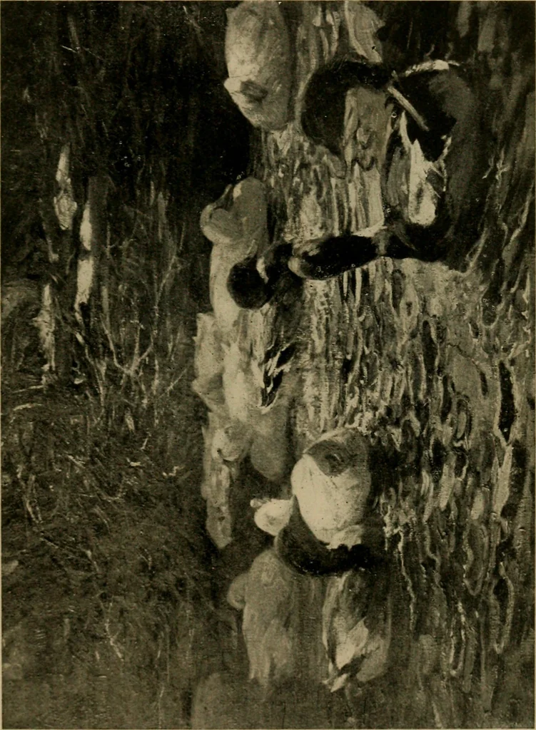 An illustration from Catalogue of an exhibition of contemporary German paintings, 1907, leaf 42