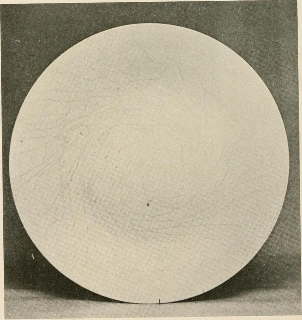 An illustration from Catalogue of an exhibition of early Chinese pottery and sculpture, 1916, leaf 203