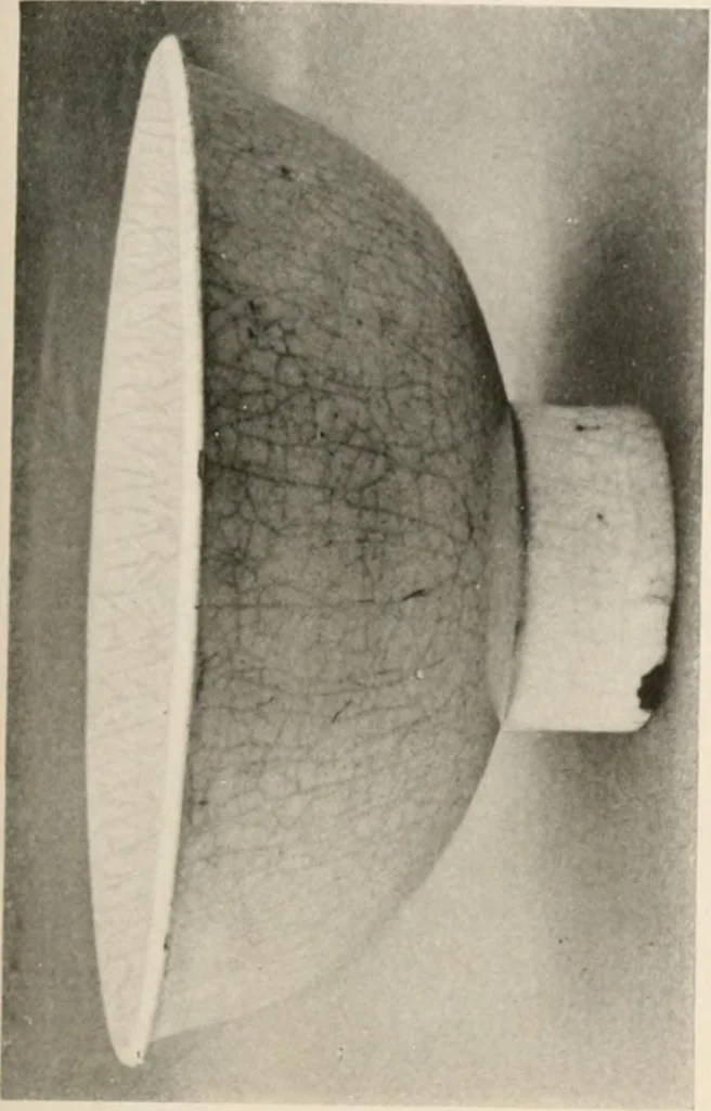 An illustration from Catalogue of an exhibition of early Chinese pottery and sculpture, 1916, leaf 214