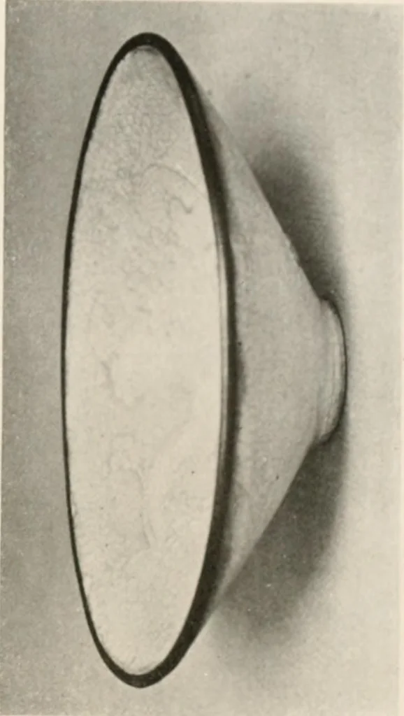 An illustration from Catalogue of an exhibition of early Chinese pottery and sculpture, 1916, leaf 214