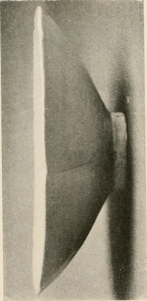 An illustration from Catalogue of an exhibition of early Chinese pottery and sculpture, 1916, leaf 215