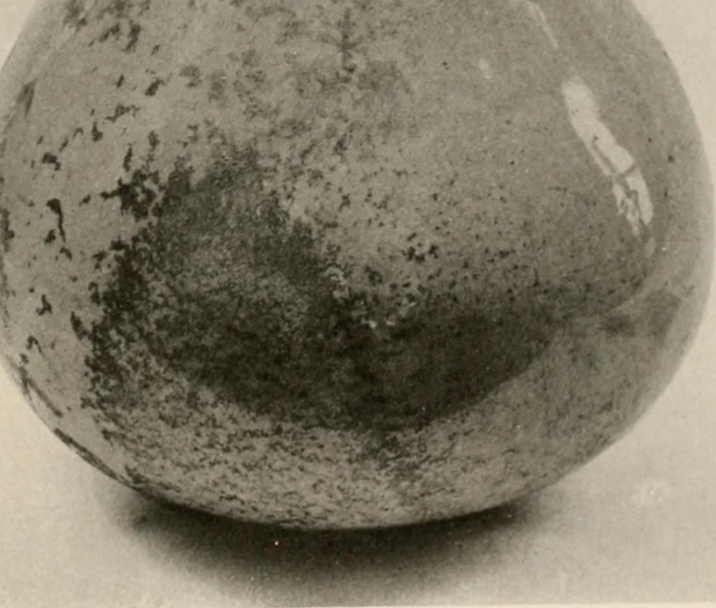 An illustration from Catalogue of an exhibition of early Chinese pottery and sculpture, 1916, leaf 234