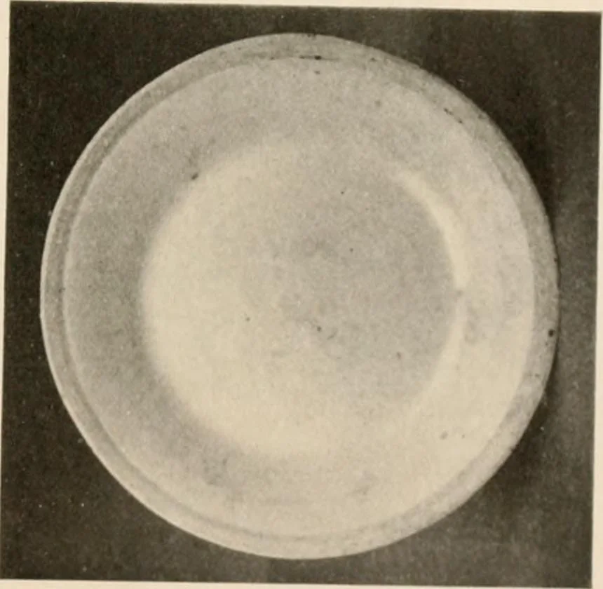 An illustration from Catalogue of an exhibition of early Chinese pottery and sculpture, 1916, leaf 292