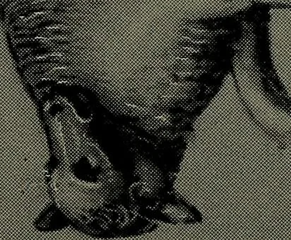 An illustration from Catalogue of an exhibition of stained glass from the XIth to the XVIIIth cent, 1920, leaf 142