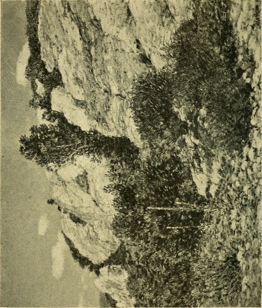 An illustration from Catalogue of the exhibition of paintings by Ten American painters, April 11 to May 3, 1908, 1908, leaf 33