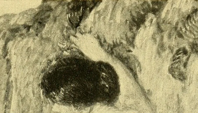 An illustration from Catalogue of the exhibition of paintings by Ten American painters, April 11 to May 3, 1908, 1908, leaf 34