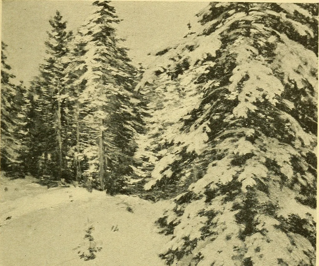An illustration from Catalogue of the exhibition of paintings by Ten American painters, April 11 to May 3, 1908, 1908, leaf 38