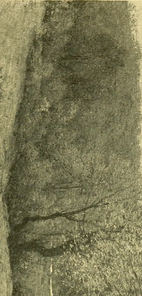 An illustration from Catalogue of the exhibition of paintings by Ten American painters, April 11 to May 3, 1908, 1908, leaf 40