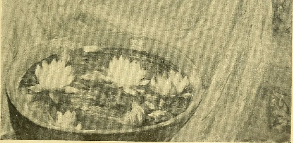 An illustration from Catalogue of the exhibition of paintings by Ten American painters, April 11 to May 3, 1908, 1908, leaf 46
