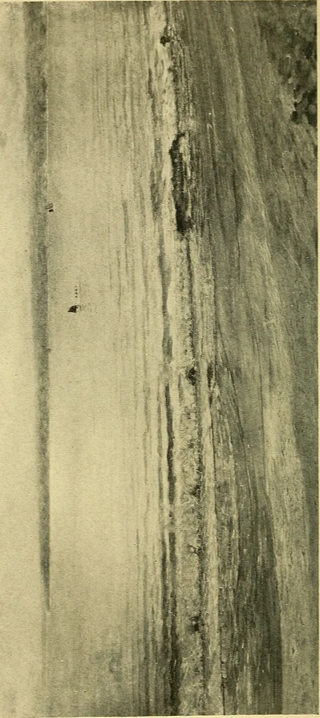 An illustration from Catalogue of the exhibition of paintings by Ten American painters, April 11 to May 3, 1908, 1908, leaf 51
