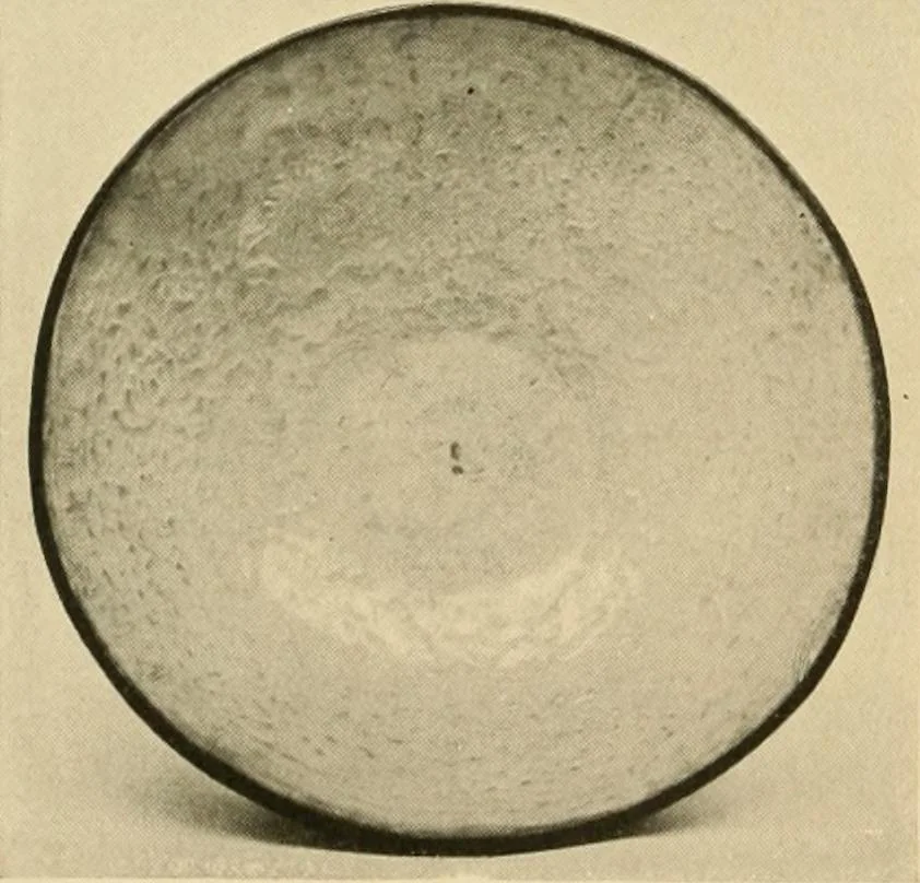 An illustration from Catalogue of an exhibition of early Chinese pottery and sculpture, 1916, leaf 199