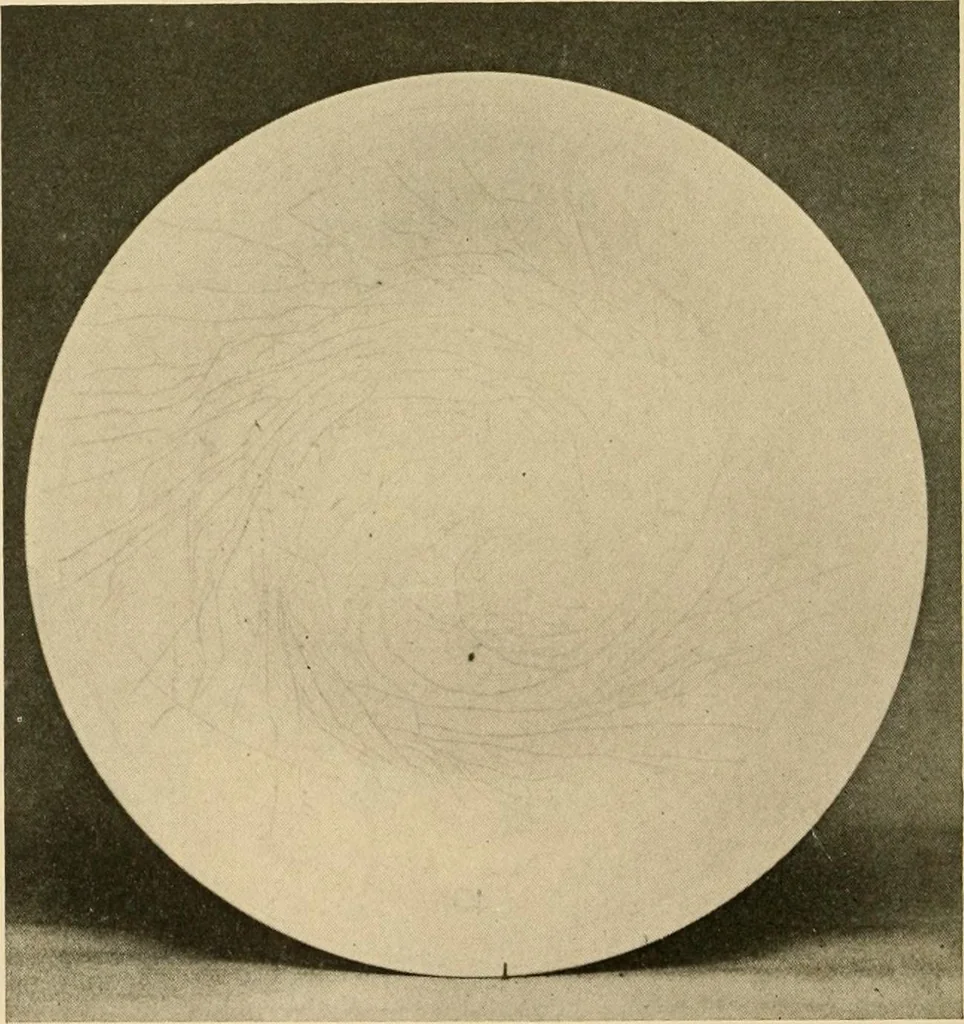 An illustration from Catalogue of an exhibition of early Chinese pottery and sculpture, 1916, leaf 201