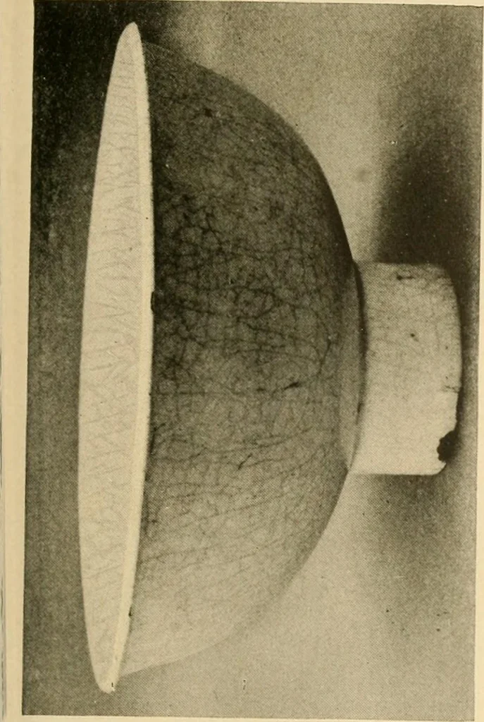 An illustration from Catalogue of an exhibition of early Chinese pottery and sculpture, 1916, leaf 212