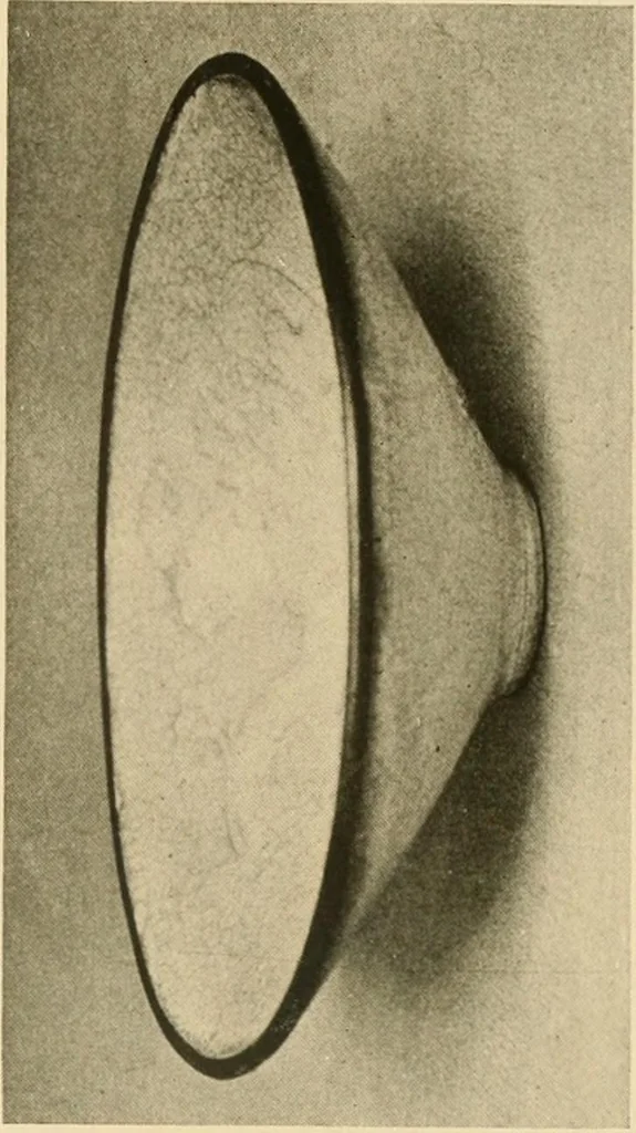 An illustration from Catalogue of an exhibition of early Chinese pottery and sculpture, 1916, leaf 212