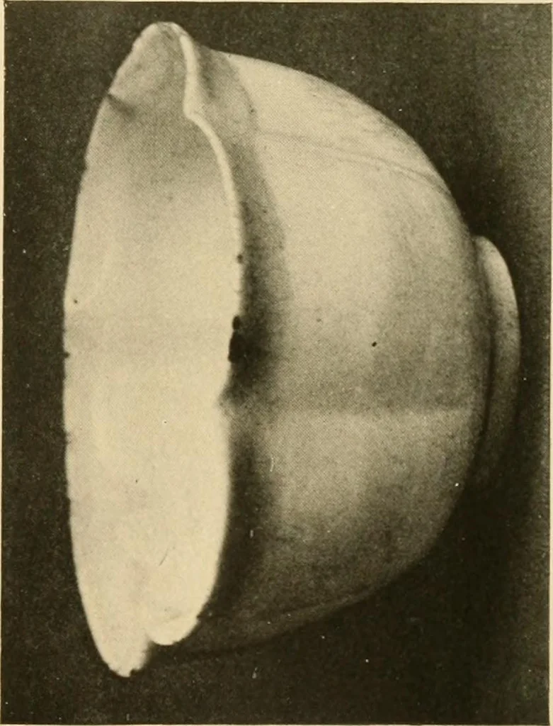 An illustration from Catalogue of an exhibition of early Chinese pottery and sculpture, 1916, leaf 212