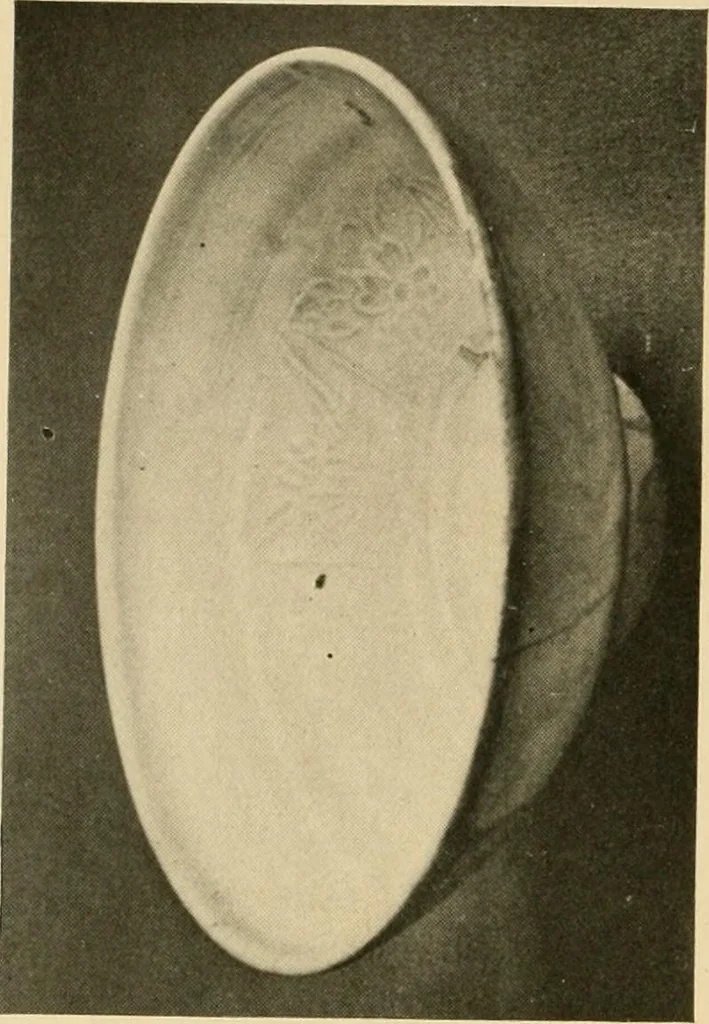 An illustration from Catalogue of an exhibition of early Chinese pottery and sculpture, 1916, leaf 213