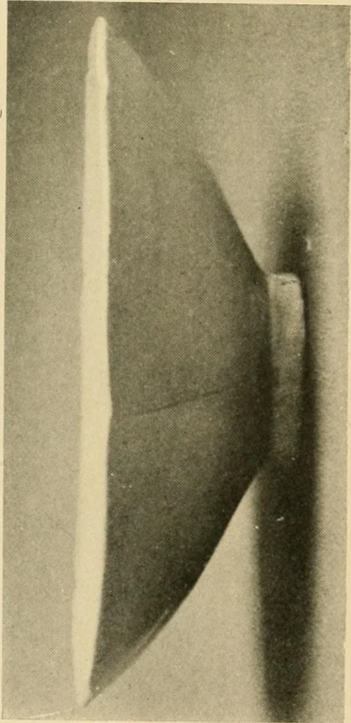 An illustration from Catalogue of an exhibition of early Chinese pottery and sculpture, 1916, leaf 213