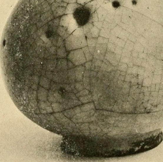 An illustration from Catalogue of an exhibition of early Chinese pottery and sculpture, 1916, leaf 249