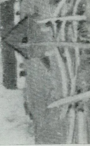 An illustration from Annual Exhibition Catalogue of the Royal Canadian Academy of Arts, 1916, 1916, leaf 27