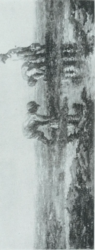 An illustration from Annual Exhibition Catalogue of the Royal Canadian Academy of Arts, 1916, 1916, leaf 42