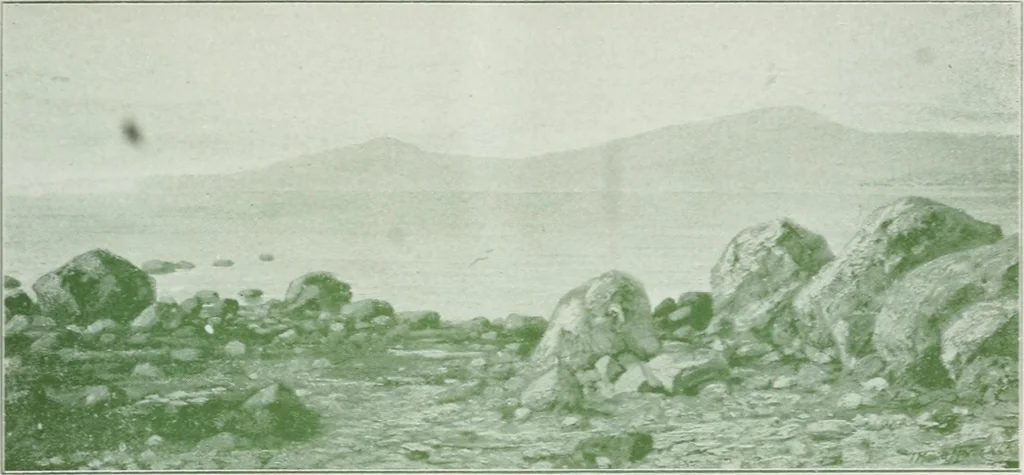 An illustration from Annual Exhibition Catalogue of the Royal Canadian Academy of Arts, 1899, 1899, leaf 28