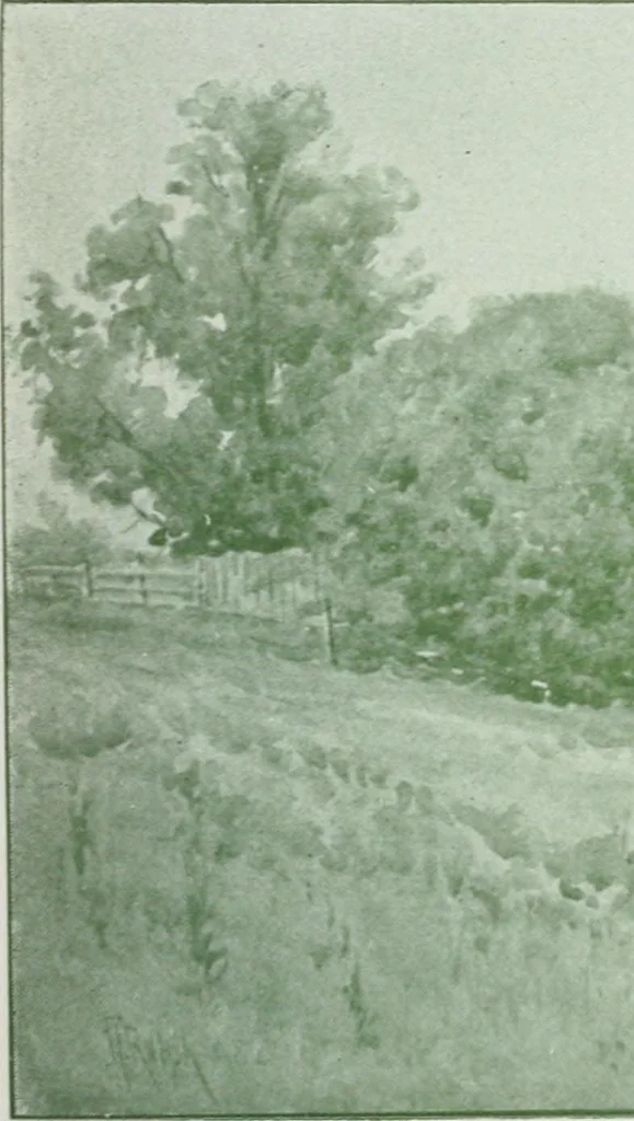 An illustration from Annual Exhibition Catalogue of the Royal Canadian Academy of Arts, 1899, 1899, leaf 30