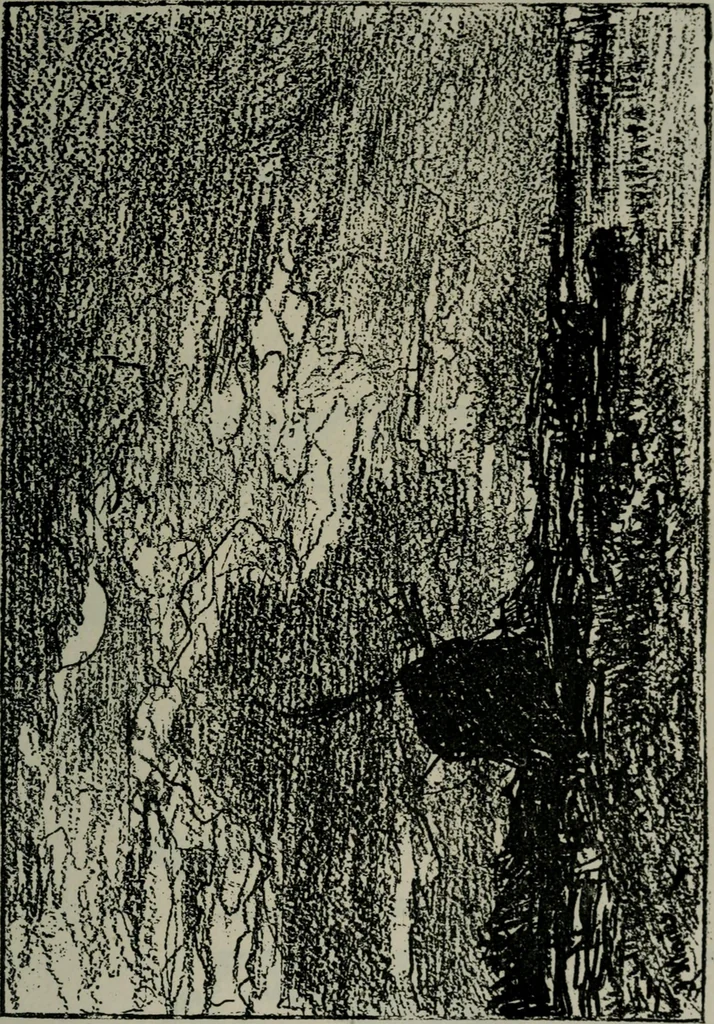 An illustration from Catalogue illustré officiel de la Section des beaux-arts de l'Exposition universelle d'Amsterdam, contenant environ 200 reproductions d'après les dessins originaux des artistes, 1883, leaf 184