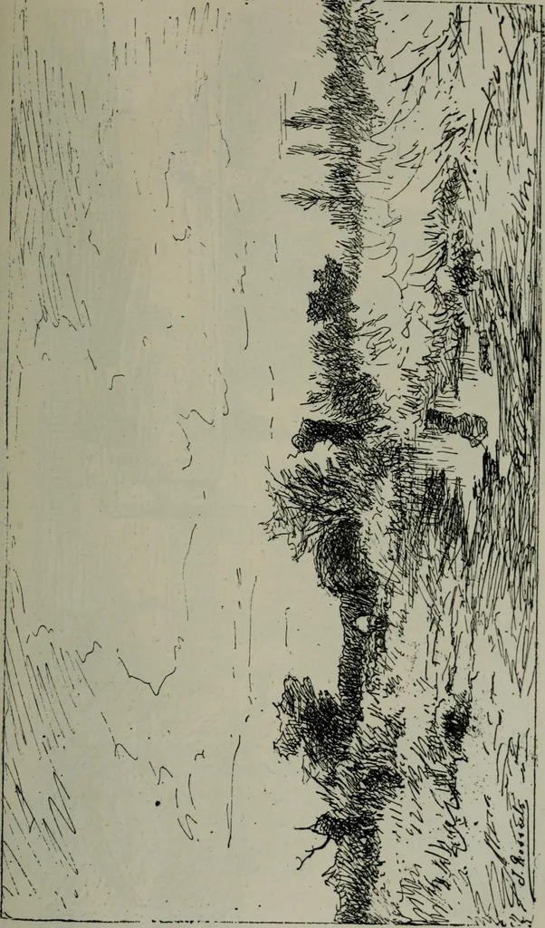 An illustration from Catalogue illustré officiel de la Section des beaux-arts de l'Exposition universelle d'Amsterdam, contenant environ 200 reproductions d'après les dessins originaux des artistes, 1883, leaf 208