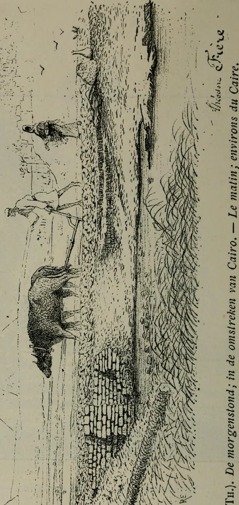 An illustration from Catalogue illustré officiel de la Section des beaux-arts de l'Exposition universelle d'Amsterdam, contenant environ 200 reproductions d'après les dessins originaux des artistes, 1883, leaf 235