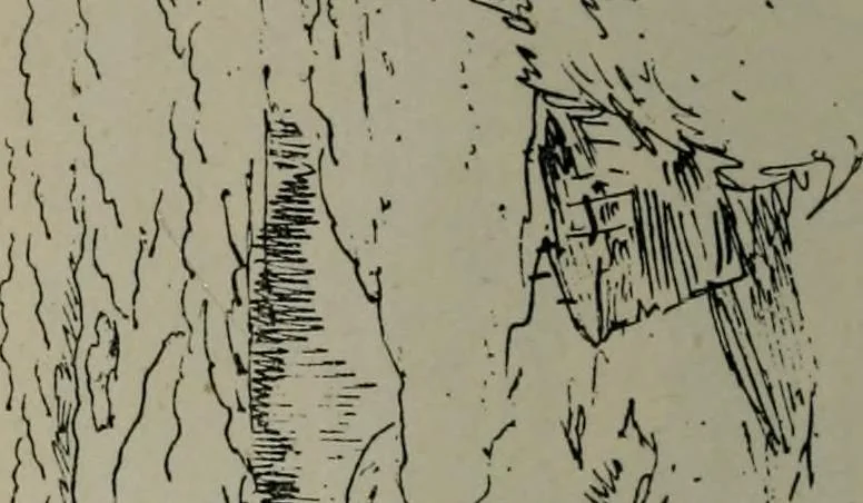 An illustration from Catalogue illustré officiel de la Section des beaux-arts de l'Exposition universelle d'Amsterdam, contenant environ 200 reproductions d'après les dessins originaux des artistes, 1883, leaf 239