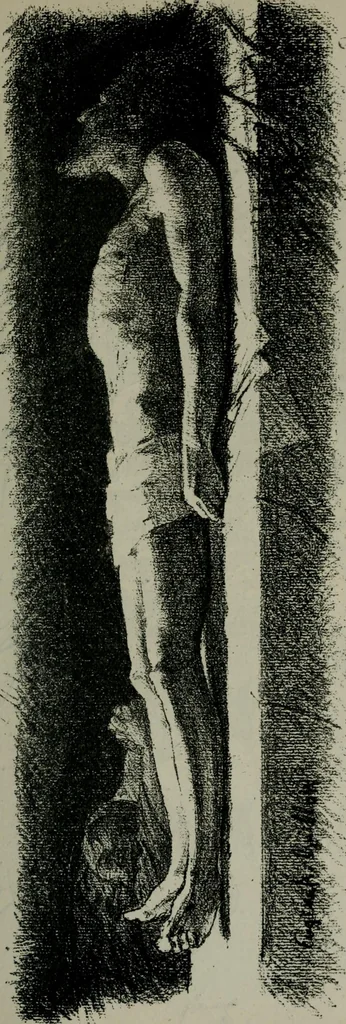 An illustration from Catalogue illustré officiel de la Section des beaux-arts de l'Exposition universelle d'Amsterdam, contenant environ 200 reproductions d'après les dessins originaux des artistes, 1883, leaf 240