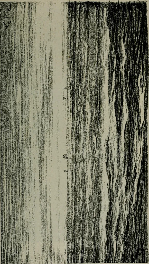An illustration from Catalogue illustré officiel de la Section des beaux-arts de l'Exposition universelle d'Amsterdam, contenant environ 200 reproductions d'après les dessins originaux des artistes, 1883, leaf 250