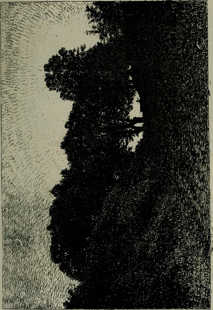 An illustration from Catalogue illustré officiel de la Section des beaux-arts de l'Exposition universelle d'Amsterdam, contenant environ 200 reproductions d'après les dessins originaux des artistes, 1883, leaf 254