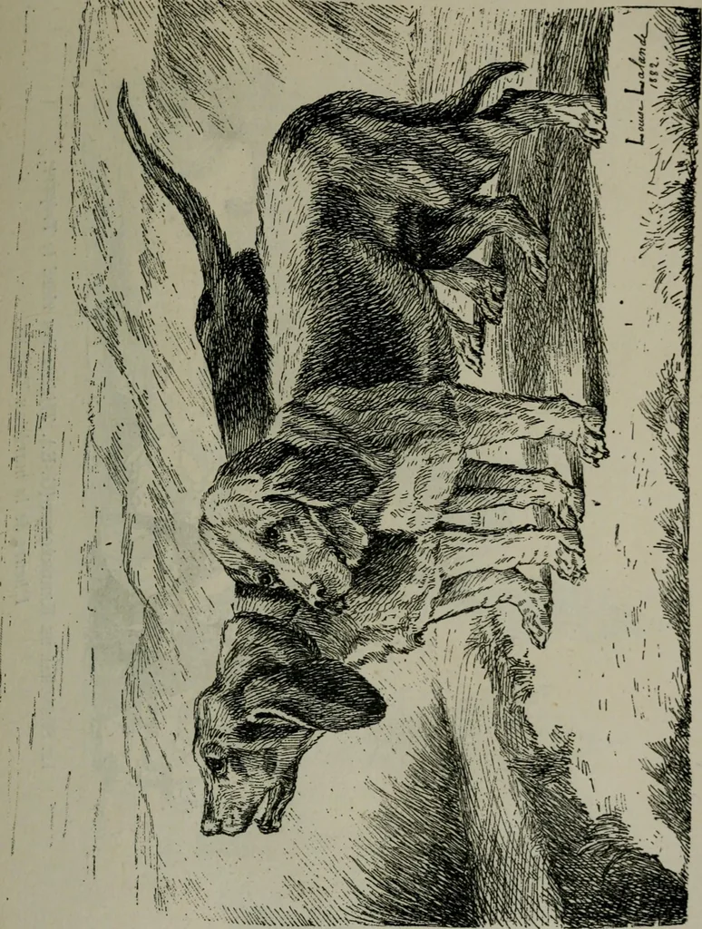 An illustration from Catalogue illustré officiel de la Section des beaux-arts de l'Exposition universelle d'Amsterdam, contenant environ 200 reproductions d'après les dessins originaux des artistes, 1883, leaf 256
