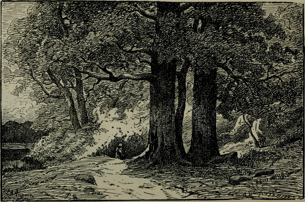 An illustration from Catalogue illustré officiel de la Section des beaux-arts de l'Exposition universelle d'Amsterdam, contenant environ 200 reproductions d'après les dessins originaux des artistes, 1883, leaf 259