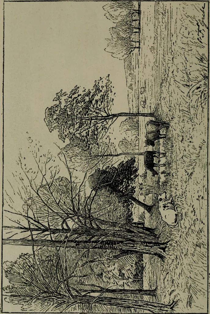 An illustration from Catalogue illustré officiel de la Section des beaux-arts de l'Exposition universelle d'Amsterdam, contenant environ 200 reproductions d'après les dessins originaux des artistes, 1883, leaf 313