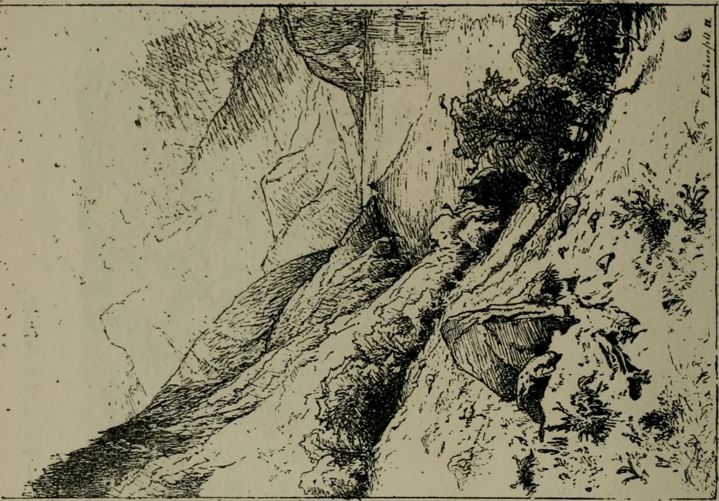An illustration from Catalogue illustré officiel de la Section des beaux-arts de l'Exposition universelle d'Amsterdam, contenant environ 200 reproductions d'après les dessins originaux des artistes, 1883, leaf 317