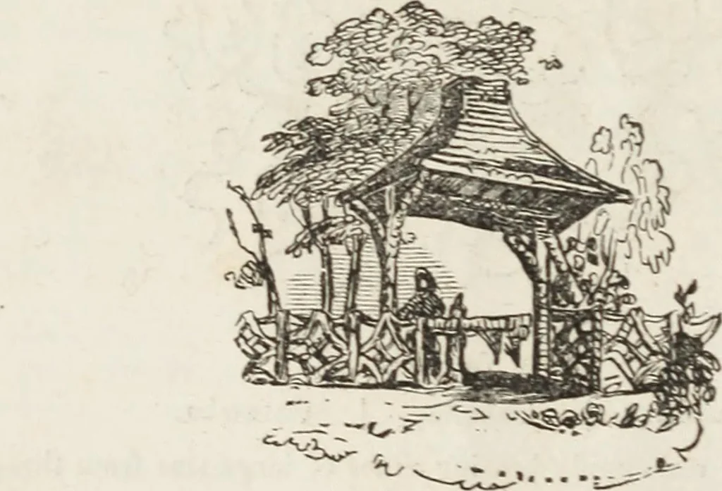 An illustration from Catalogue of fruit and ornamental trees cultivated at the Union Nurseries, 1852, leaf 13