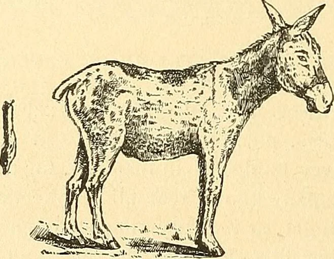 An illustration from Catalogue of games, sectional pictures, toys, puzzles, blocks and novelties, 1889, leaf 19