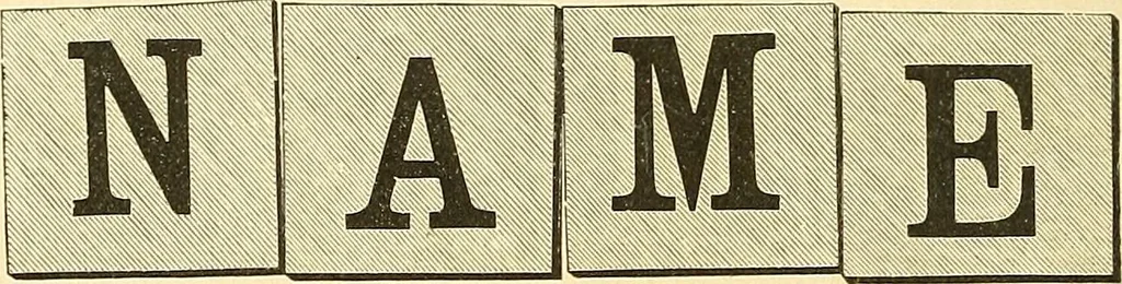 An illustration from Catalogue of games, sectional pictures, toys, puzzles, blocks and novelties, 1889, leaf 5