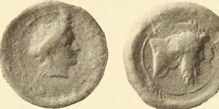 An illustration from Catalogue of Greek coins in the Hunterian collection, University of Glasgow, 1899, leaf 598
