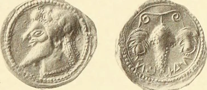 An illustration from Catalogue of Greek coins in the Hunterian collection, University of Glasgow, 1899, leaf 602