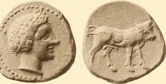An illustration from Catalogue of Greek coins in the Hunterian collection, University of Glasgow, 1899, leaf 688