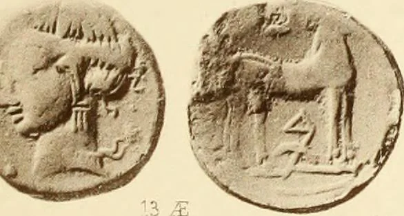An illustration from Catalogue of Greek coins in the Hunterian collection, University of Glasgow, 1899, leaf 878
