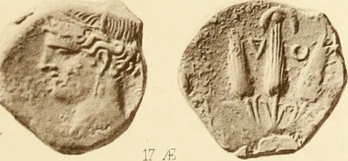 An illustration from Catalogue of Greek coins in the Hunterian collection, University of Glasgow, 1899, leaf 878