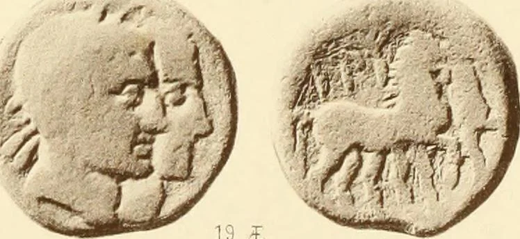An illustration from Catalogue of Greek coins in the Hunterian collection, University of Glasgow, 1899, leaf 878