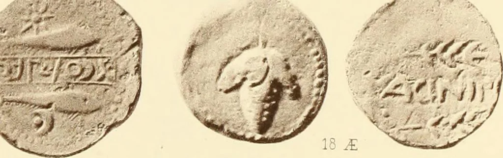 An illustration from Catalogue of Greek coins in the Hunterian collection, University of Glasgow, 1899, leaf 886