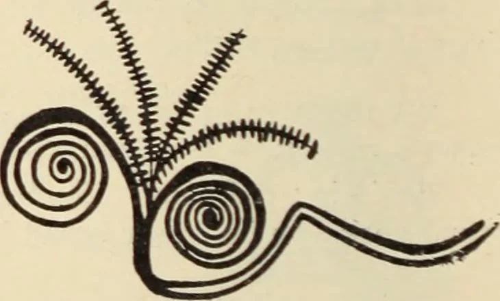 An illustration from Catalogue of the Greek and Etruscan vases in the British Museum, 1893, leaf 149