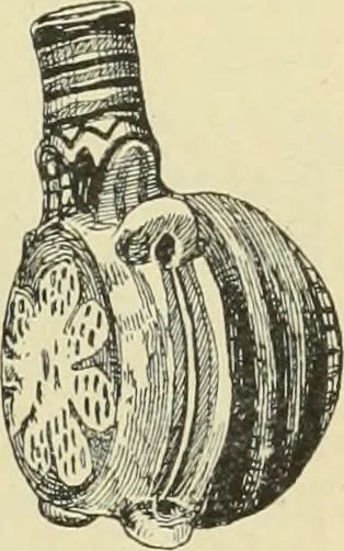 An illustration from Catalogue of the Greek and Etruscan vases in the British Museum, 1893, leaf 204