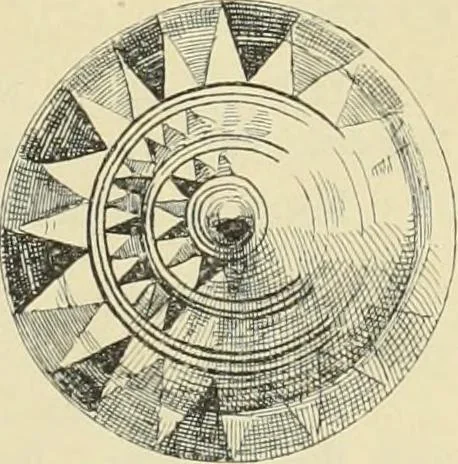 An illustration from Catalogue of the Greek and Etruscan vases in the British Museum, 1893, leaf 244